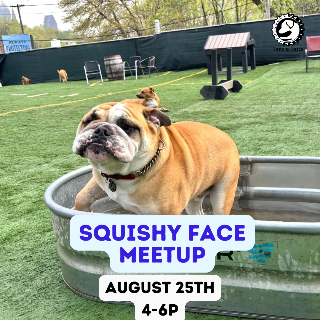 Squishy Face Meetup
