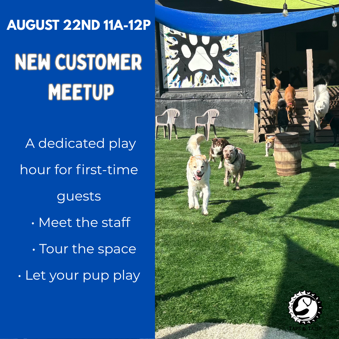 New Customer Meetup