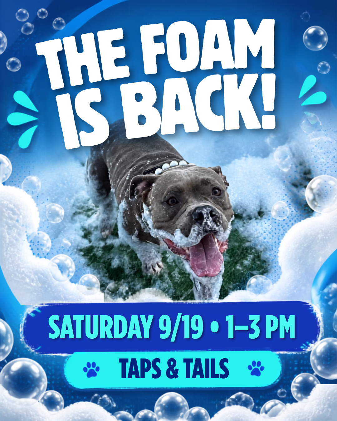 Taps &amp; Tails Foam Party