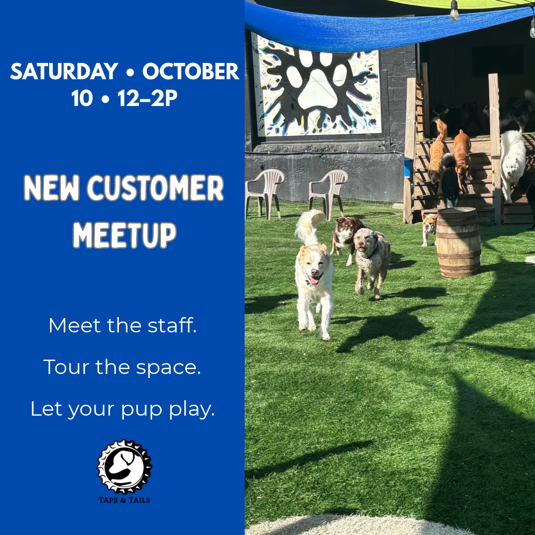 New Customer Meetup
