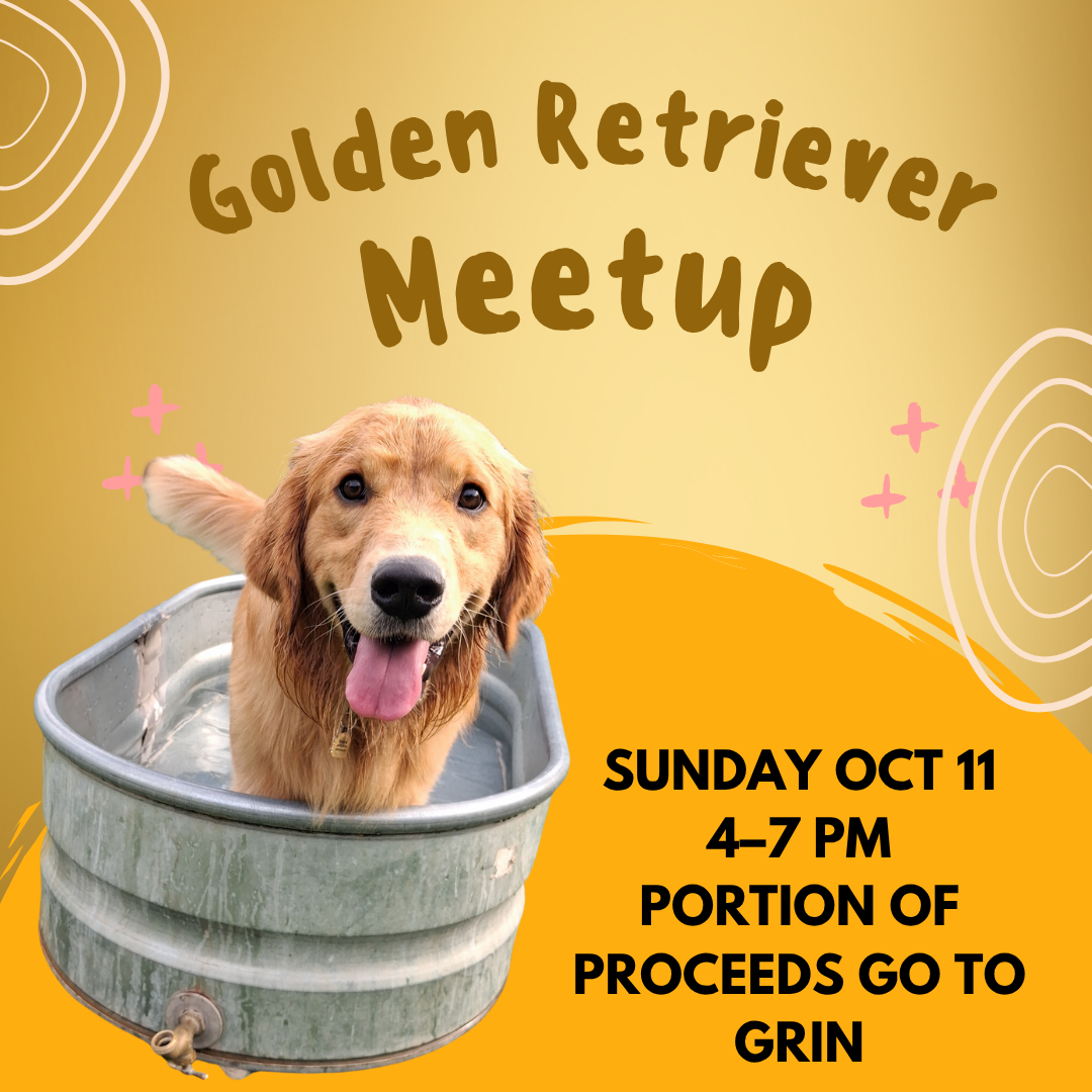 Golden Retriever Meetup benefiting GRIN