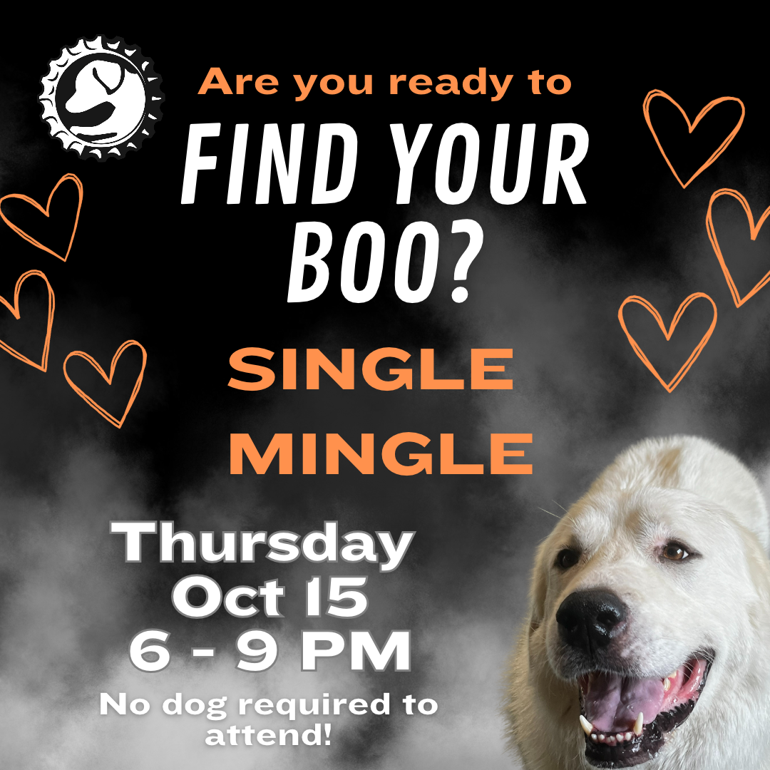 Single Mingle: Find Your Boo