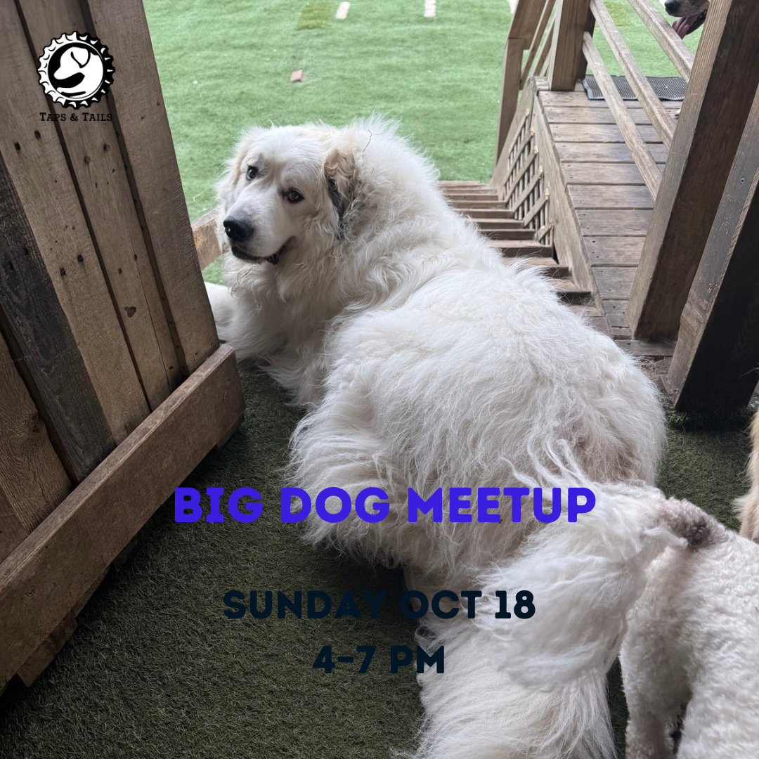 Big Dog Meetup