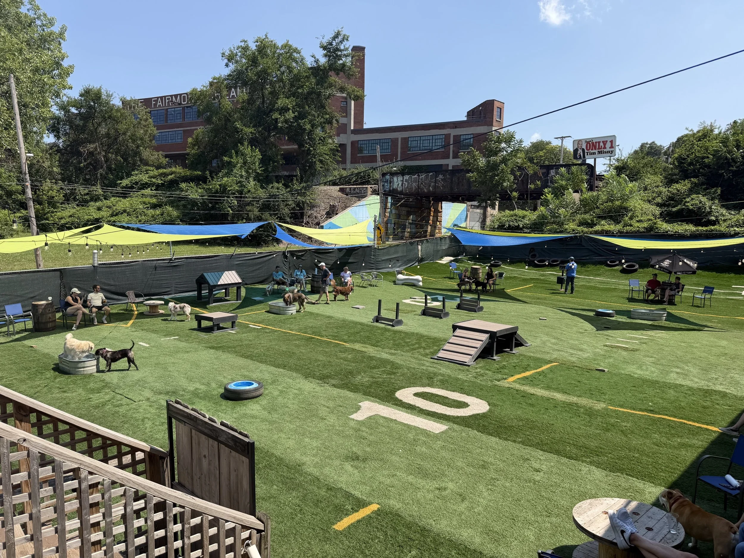 What Should a Good Dog Daycare Day Look Like?