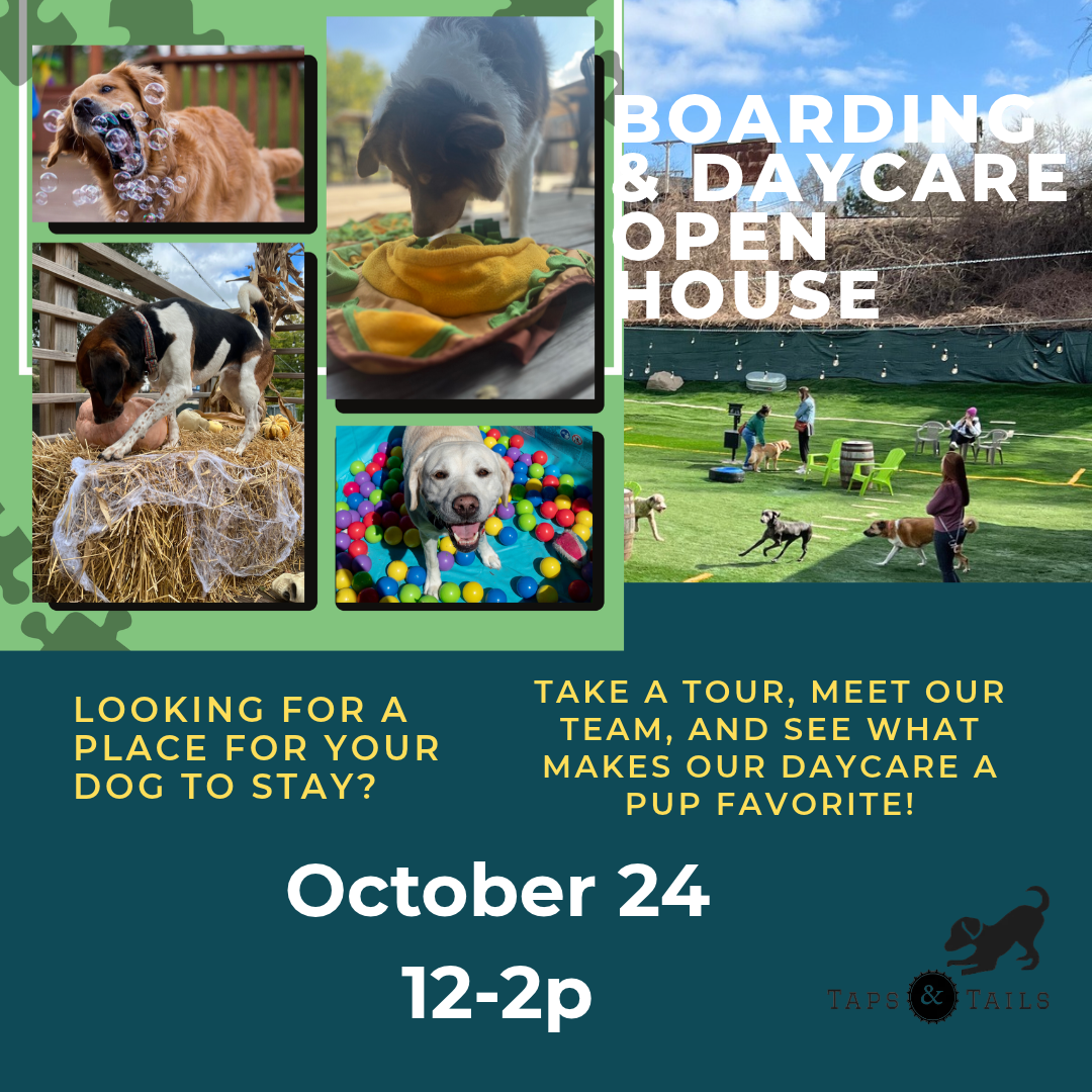 Daycare + Boarding Open House