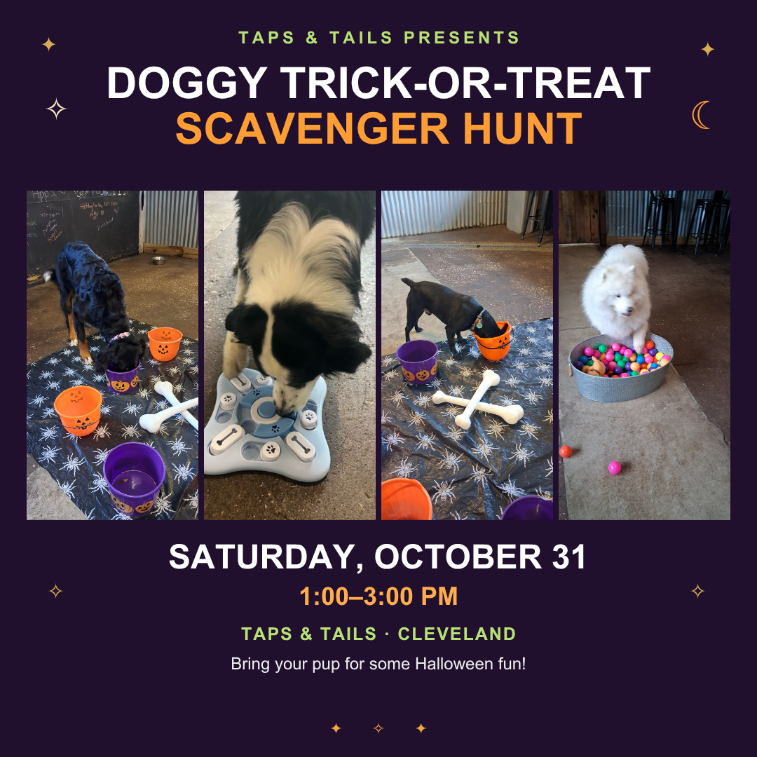 Doggy Trick-or-Treat Scavenger Hunt