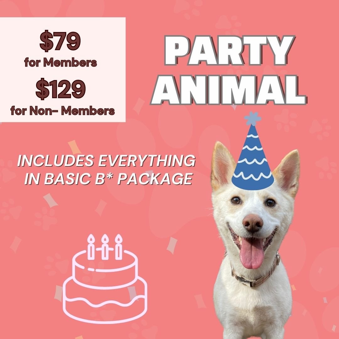 Dog Birthday Parties — Taps and Tails