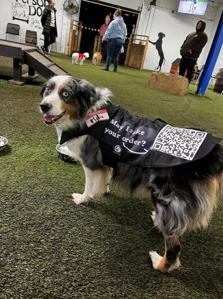 Dog Park & Bar — Taps and Tails