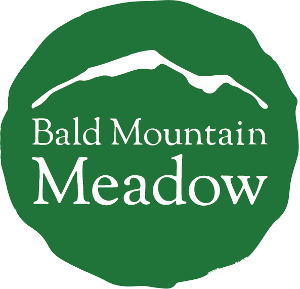 Bald Mountain Meadow