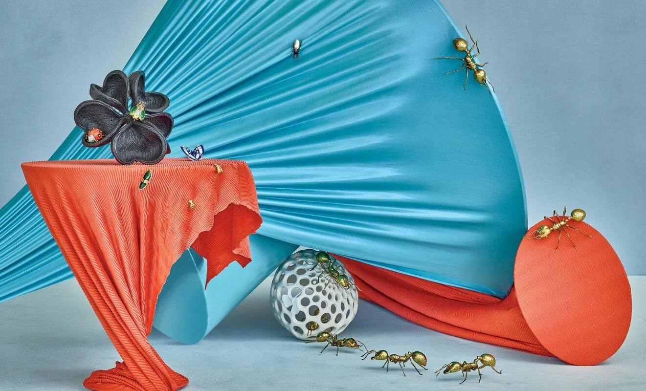 T Magazine  | Anthony Cotsifas