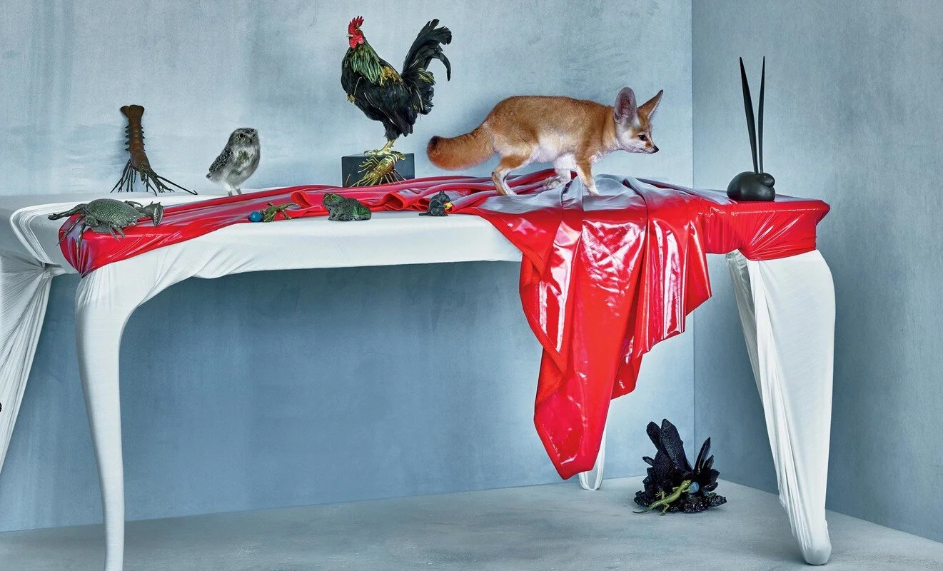 T Magazine  | Anthony Cotsifas