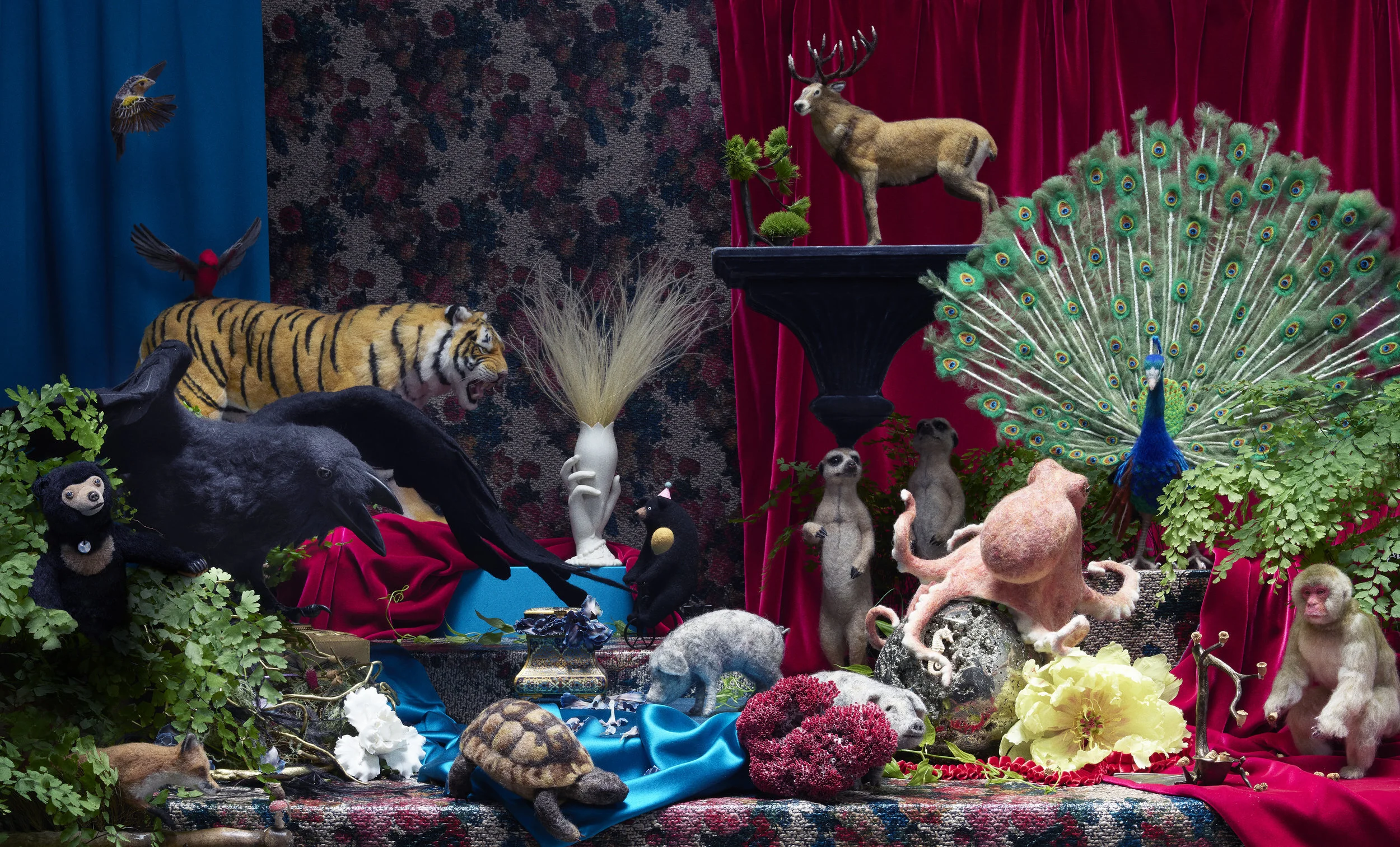 T Magazine  |  Anthony Cotsifas