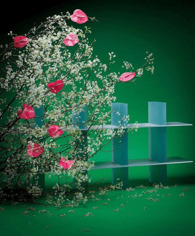 T Magazine  |  Anthony Cotsifas