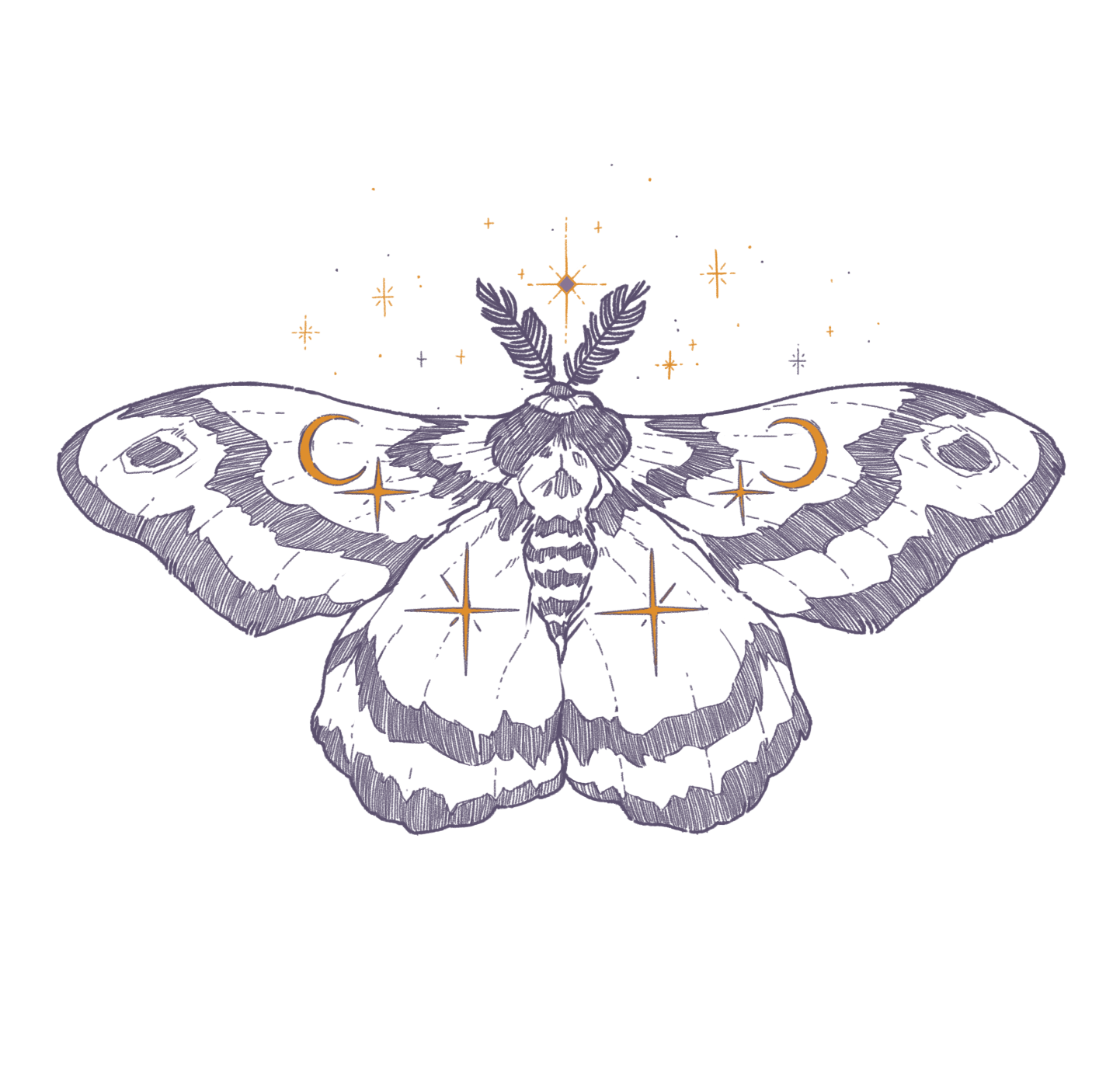 Information and Reviews Page