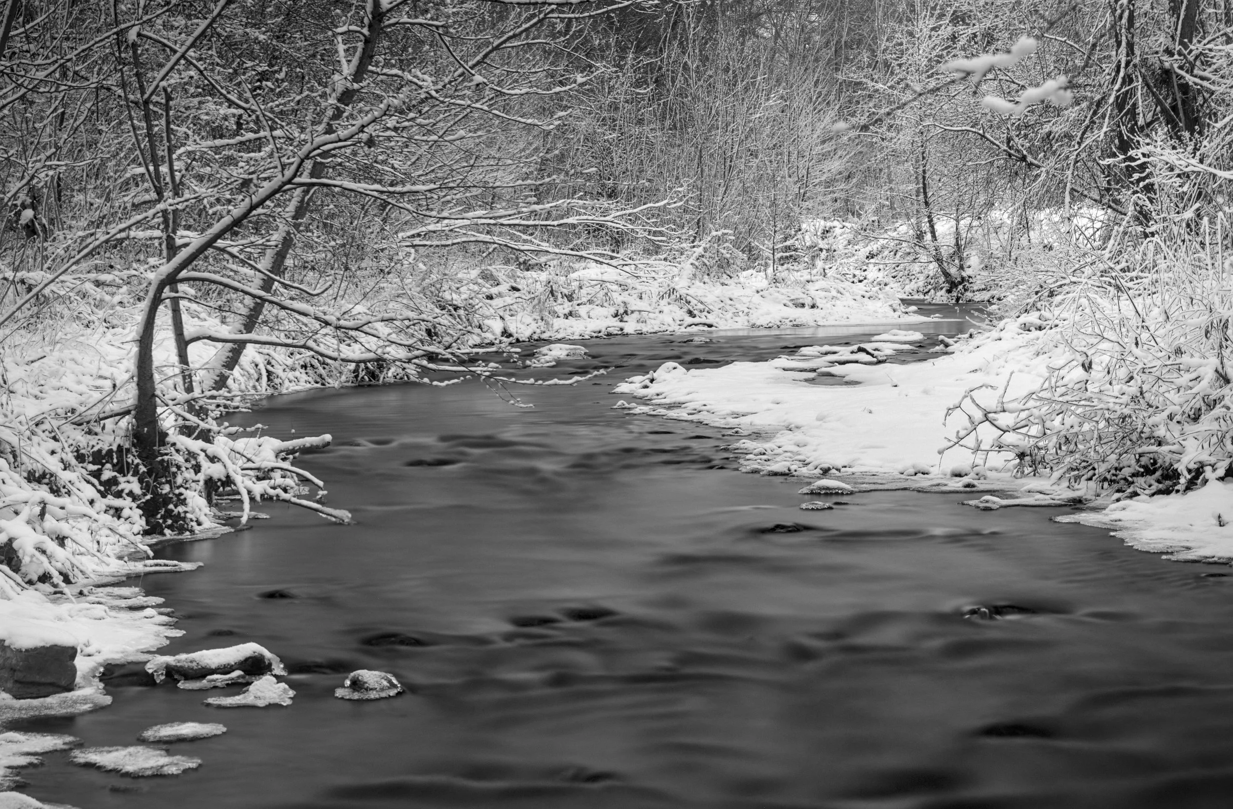 Rest as Resistance: Taoism and the Inner Practice of Nonviolence in Winter