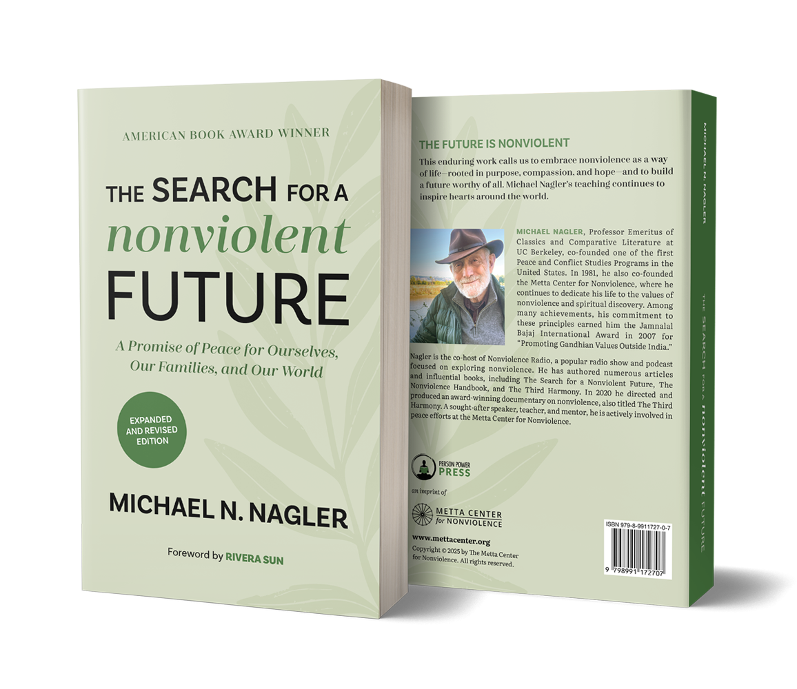Search-for-Nonviolent-Future-3D-Cover-1.png
