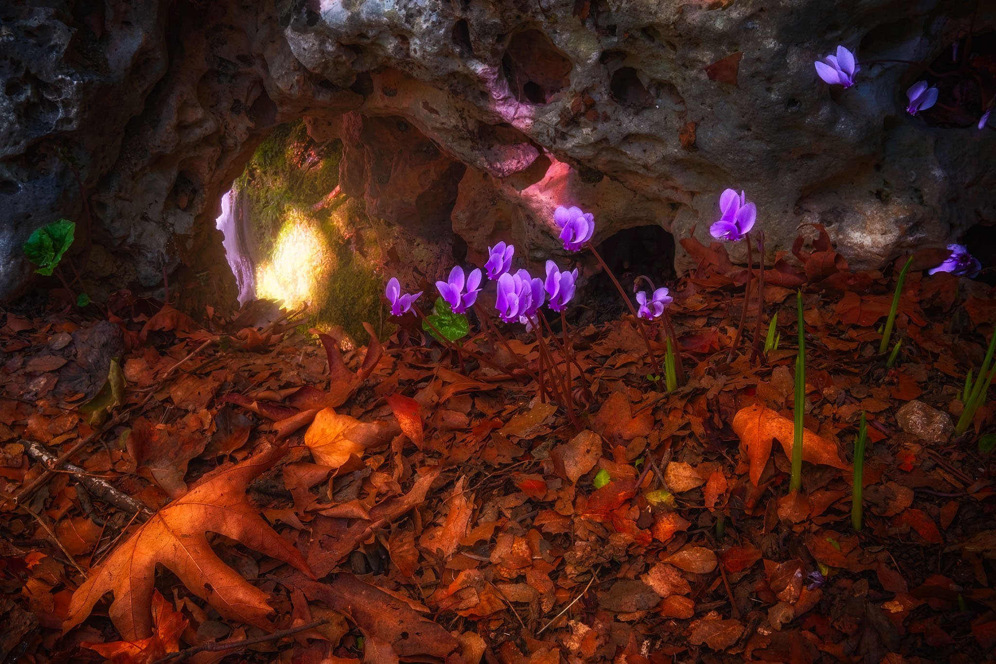 St.Kyriaki Blooms.jpg