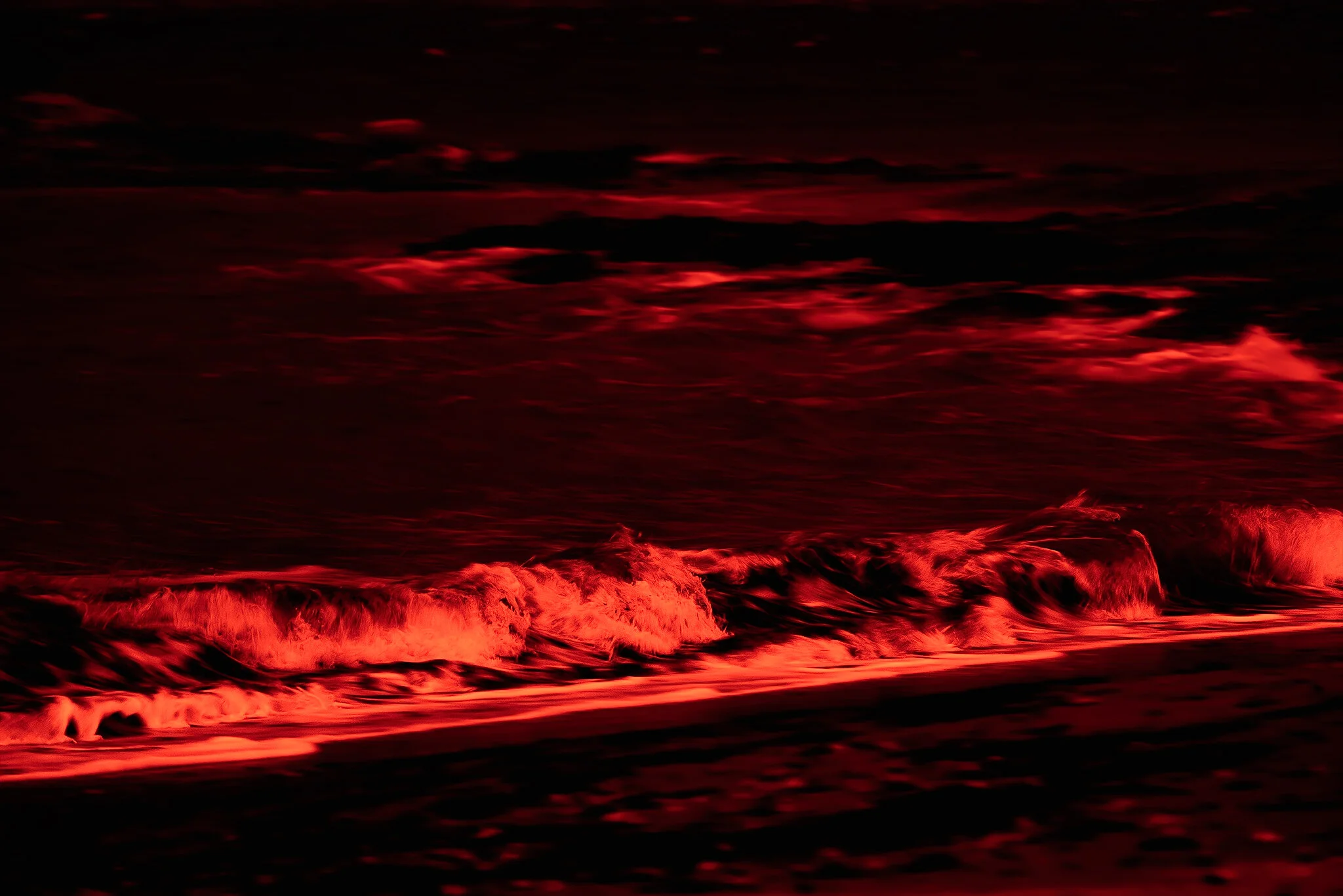 Sea of Red Insta.jpg