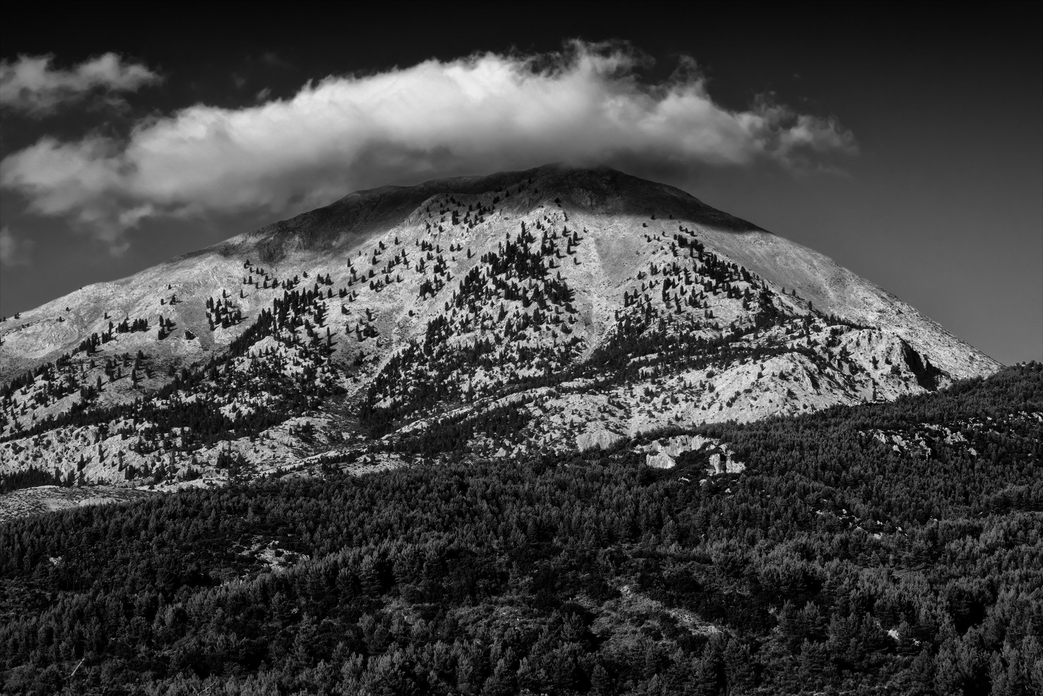 Dirfys Insta B&W.jpg