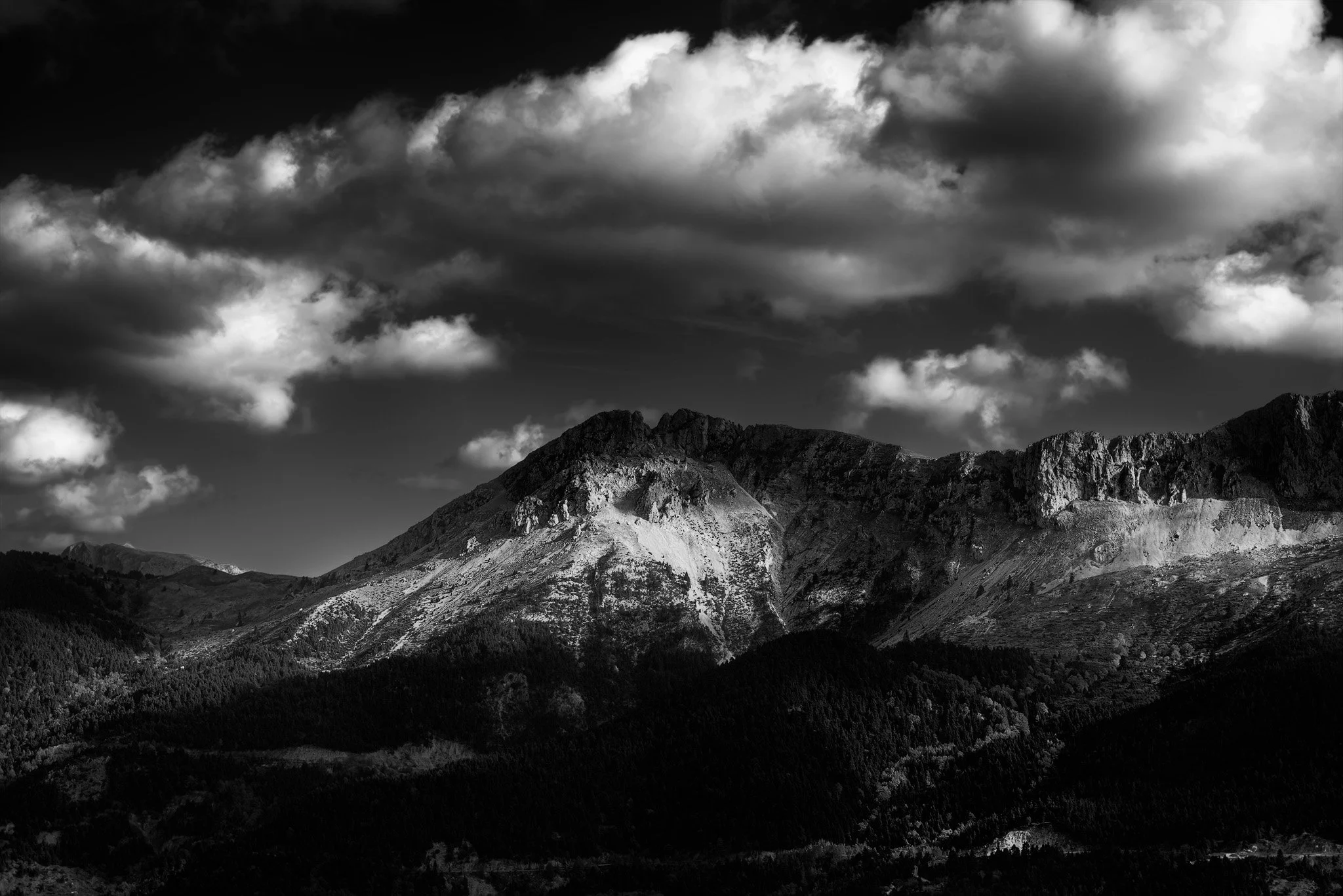 Dirfy Monochrome.jpg