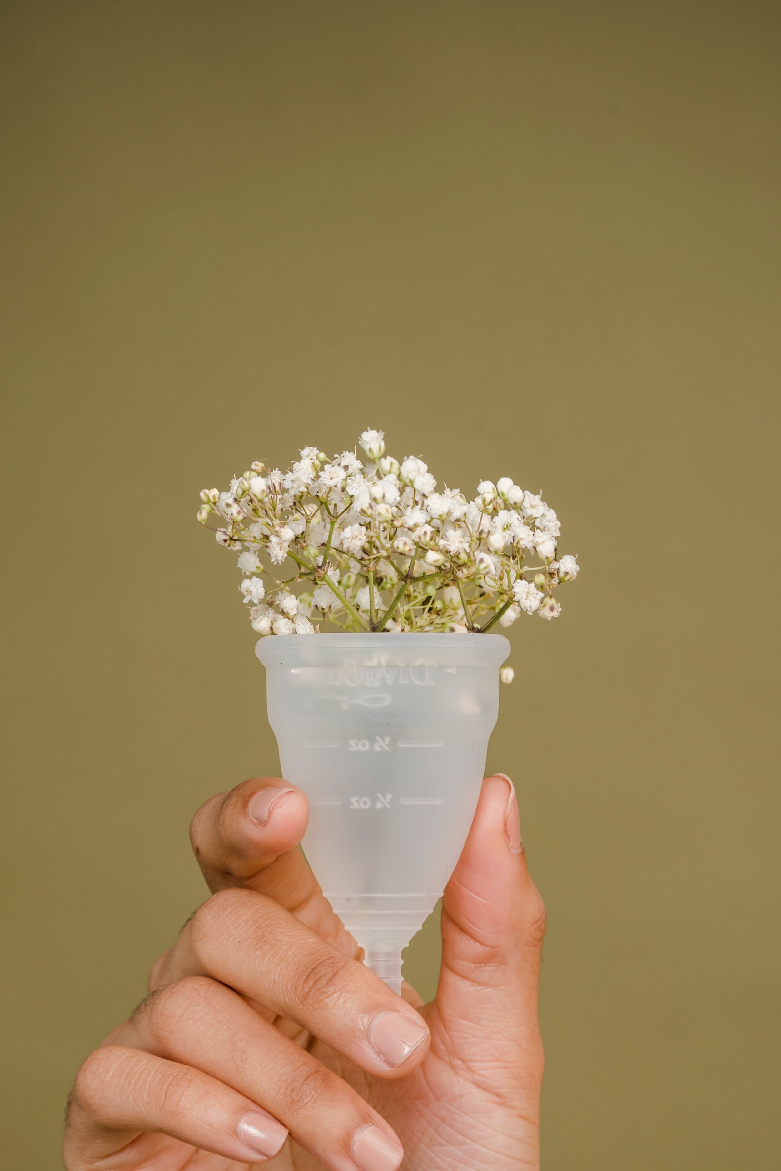 Hand holding a small, clear measuring cup filled with white baby's breath flowers.