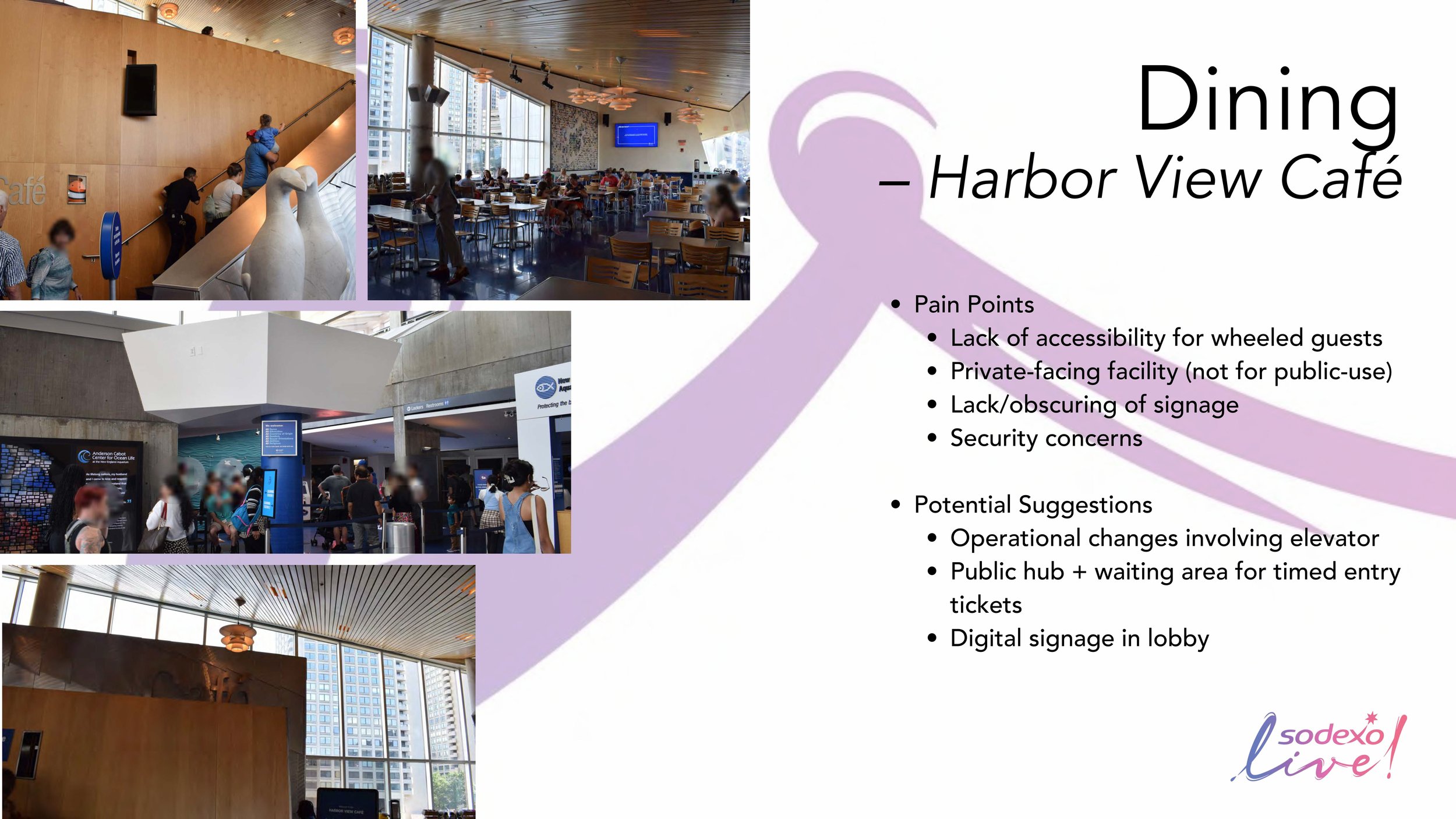 AustinLi_NEAQ_8.3.24_Haley_COMPRESSED copy-images-11.jpg
