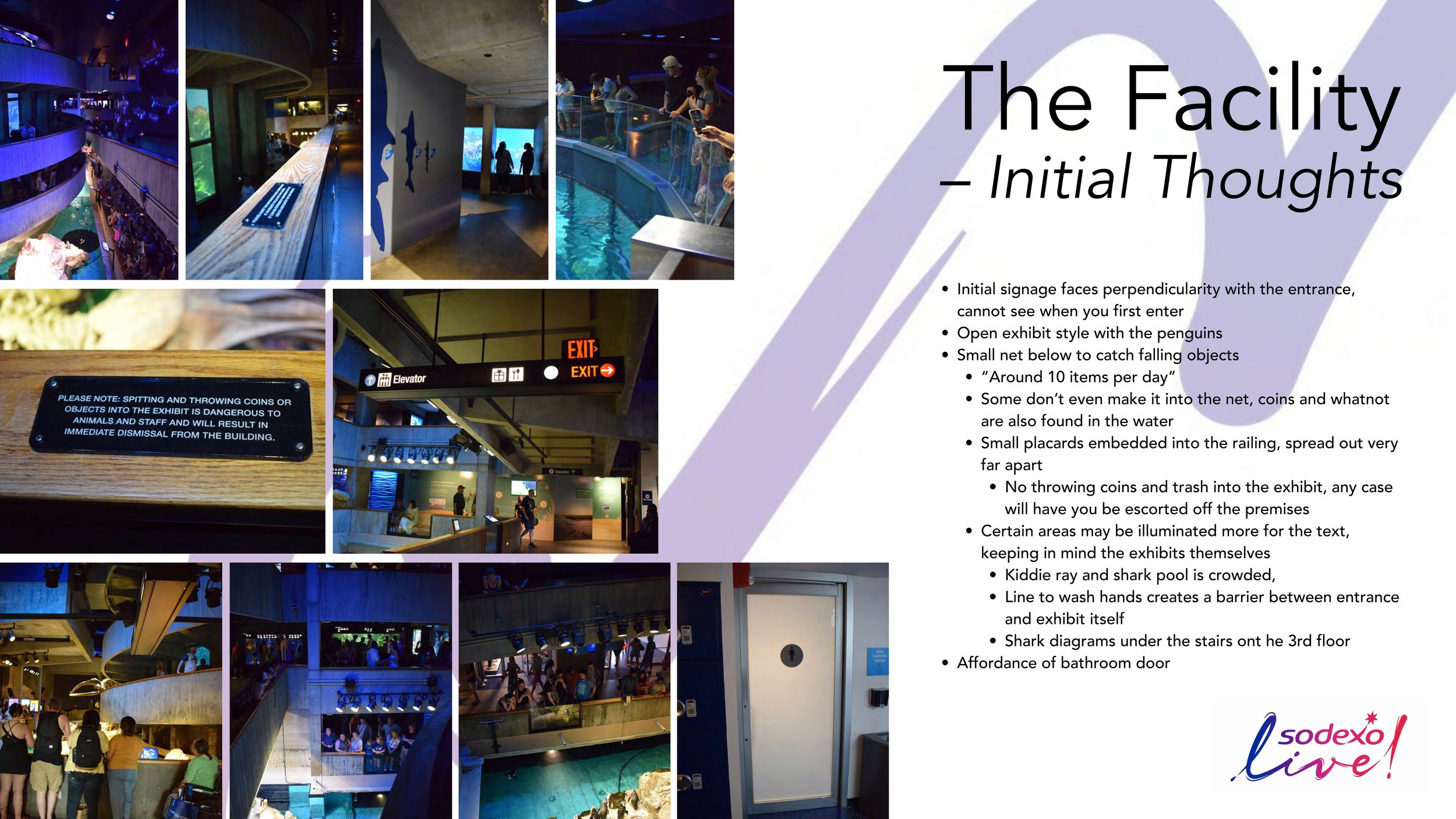 AustinLi_NEAQ_8.3.24_Haley_COMPRESSED copy-images-3.jpg