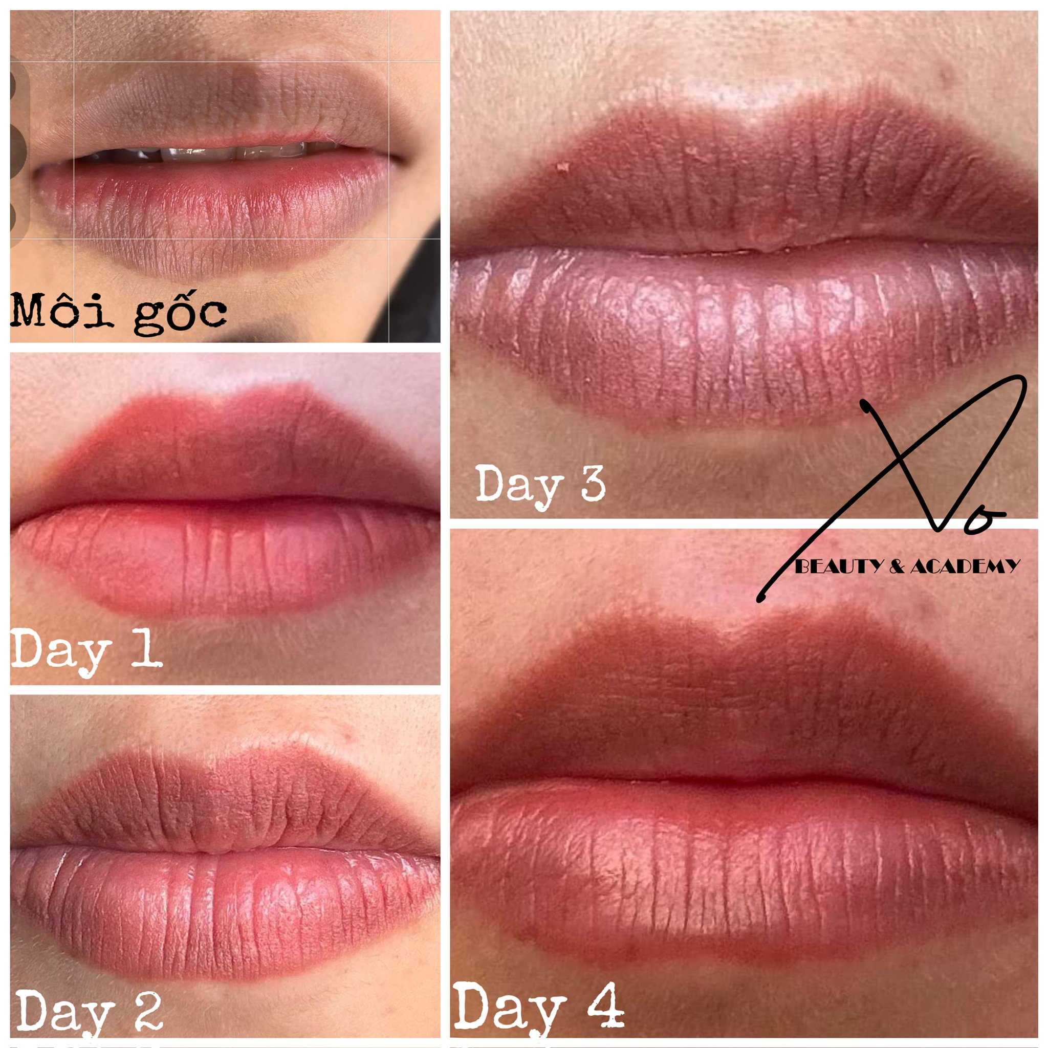 Progression of lipstick application over four days, showing lips close-up with different shades and textures, labeled as Day 1 through Day 4, with additional images showing lips before makeup, after three days, and after four days, with text in Vietn