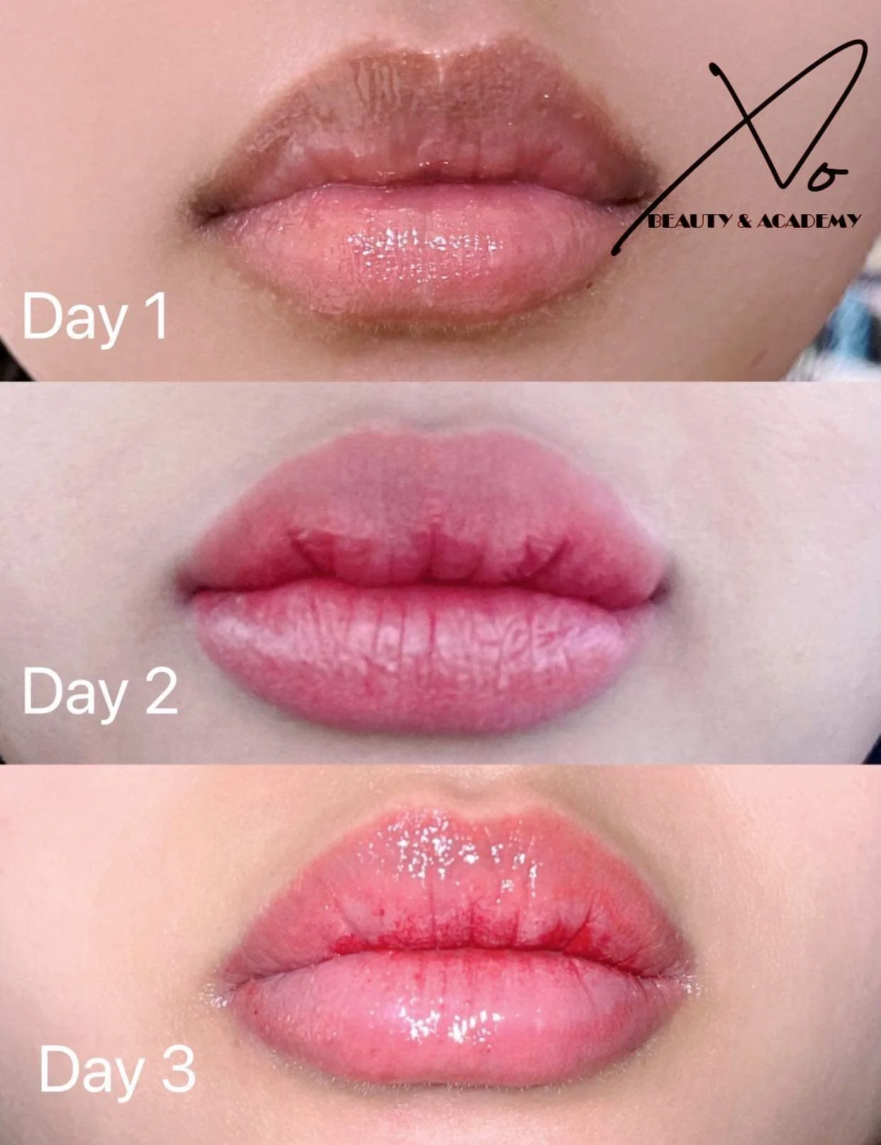 Close-up of a person's lips over three days showing the progression of lip gloss application. Day 1 shows wet lips with gloss, Day 2 shows matte lips with a light tint, and Day 3 shows glossy lips with added sparkle.