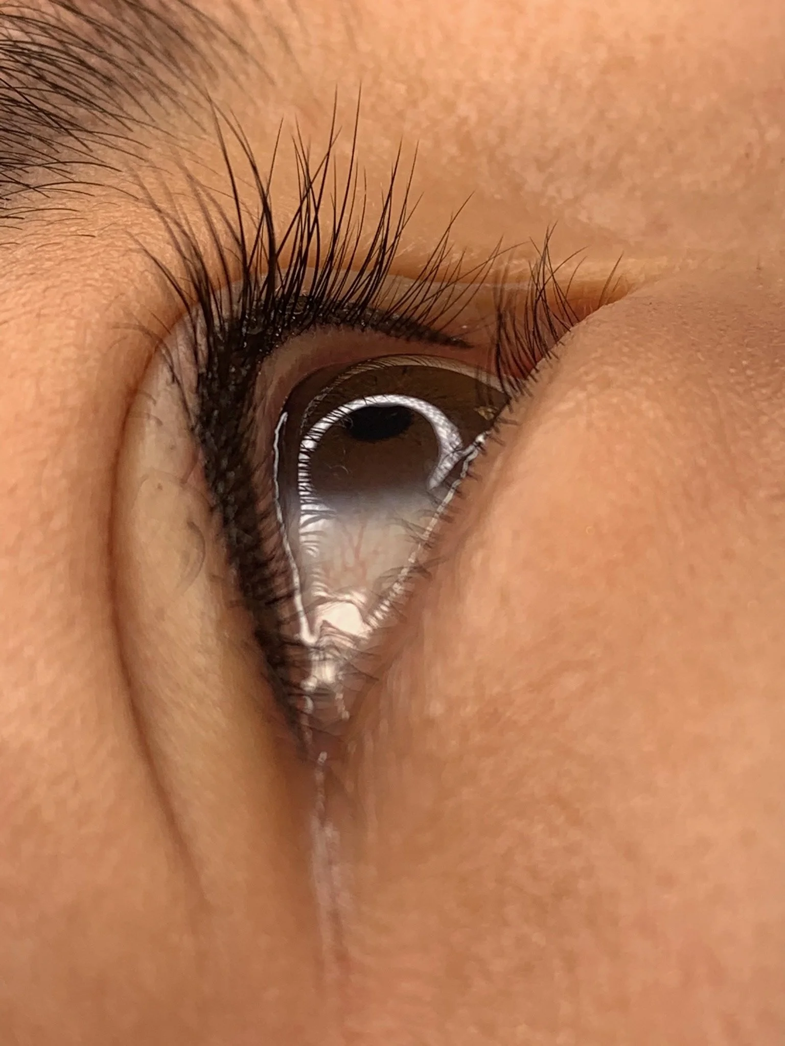 Close-up of a human eye, showing detailed eyelashes, iris, and reflection of light.