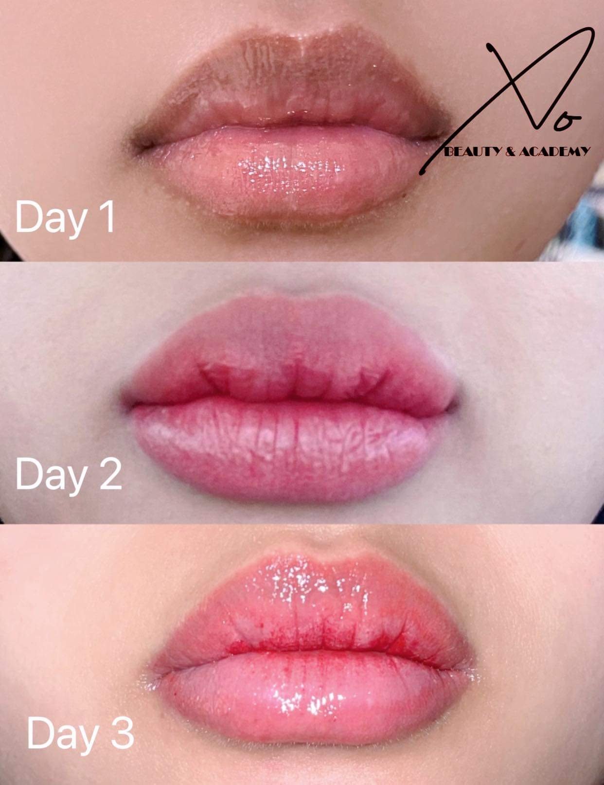 Close-up of lips showing the progression of lip gloss application over three days, with labels 'Day 1', 'Day 2', and 'Day 3', and the logo 'Beauty & Academy' in the top right corner.
