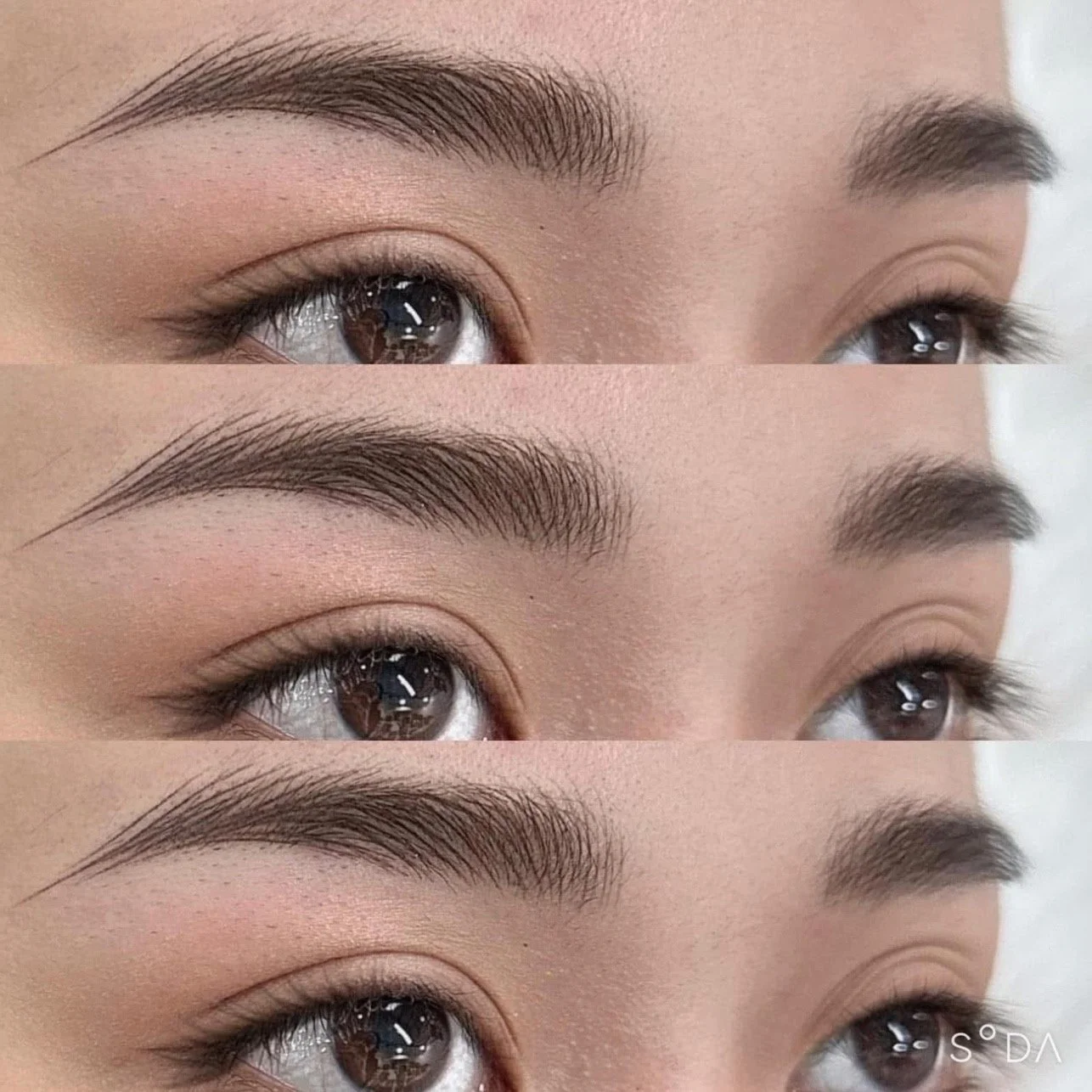 Close-up of a person's eyes and eyebrows, showing different eyebrow shapes in three horizontal sections.