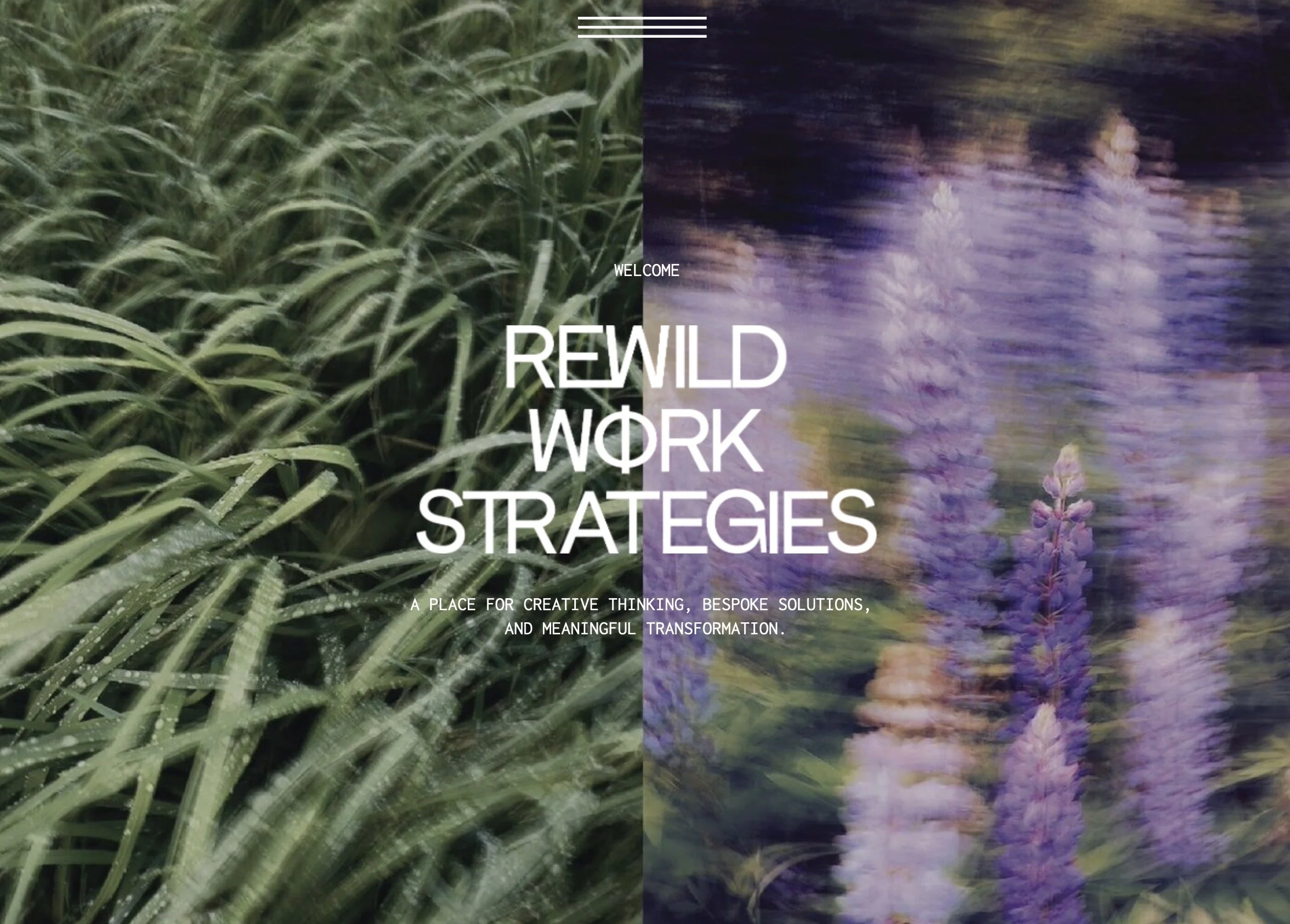 Billede 21.04.2023 kl. 08.54.jpeg