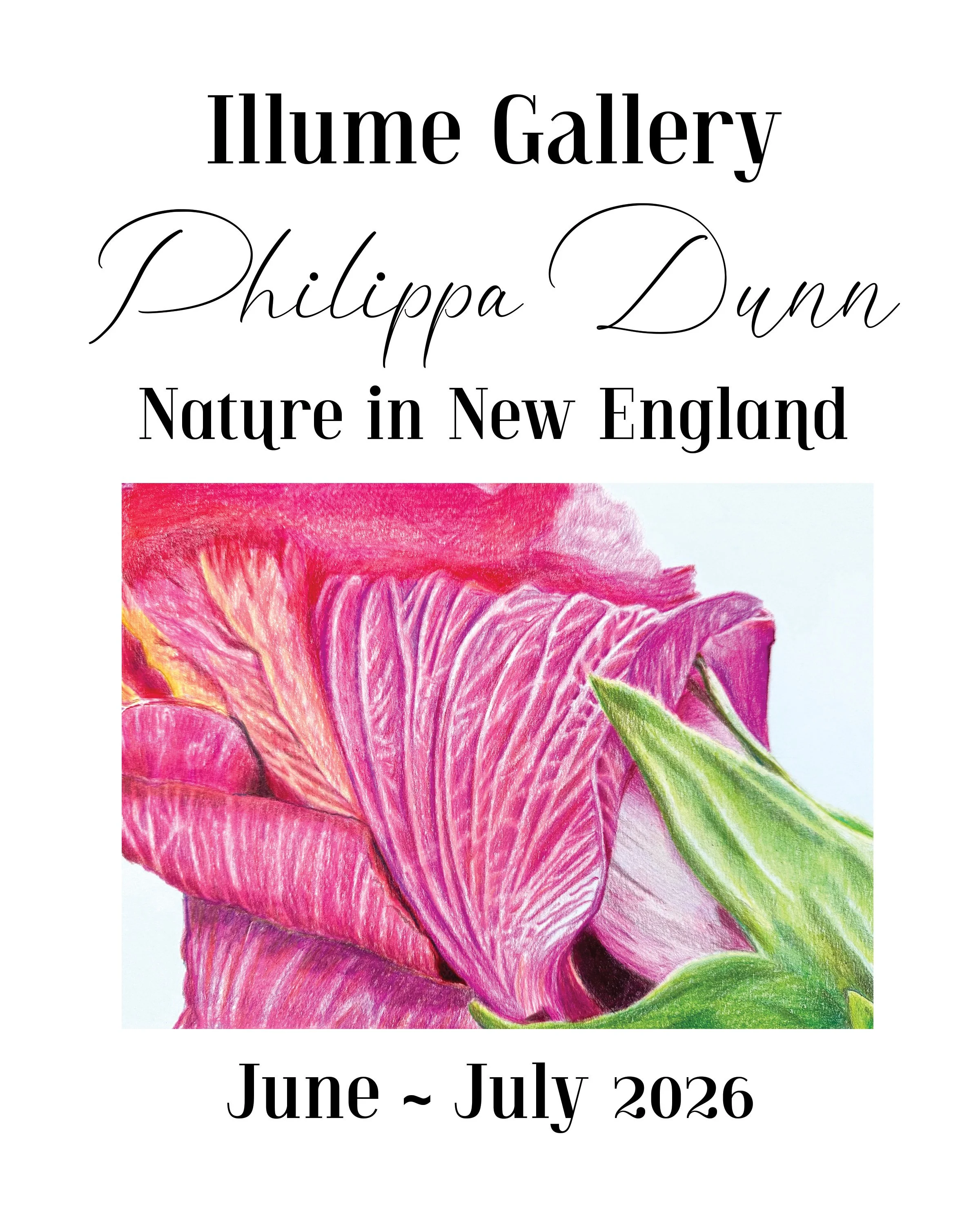 Philippa Dunn - Oil, Gouache & Colored Pencils -
Philippa Dunn draws the natural world with a patience and precision that photography cannot replicate. Trained in Natural Science Illustration at RISD and shaped by a childhood spent across Europe and 