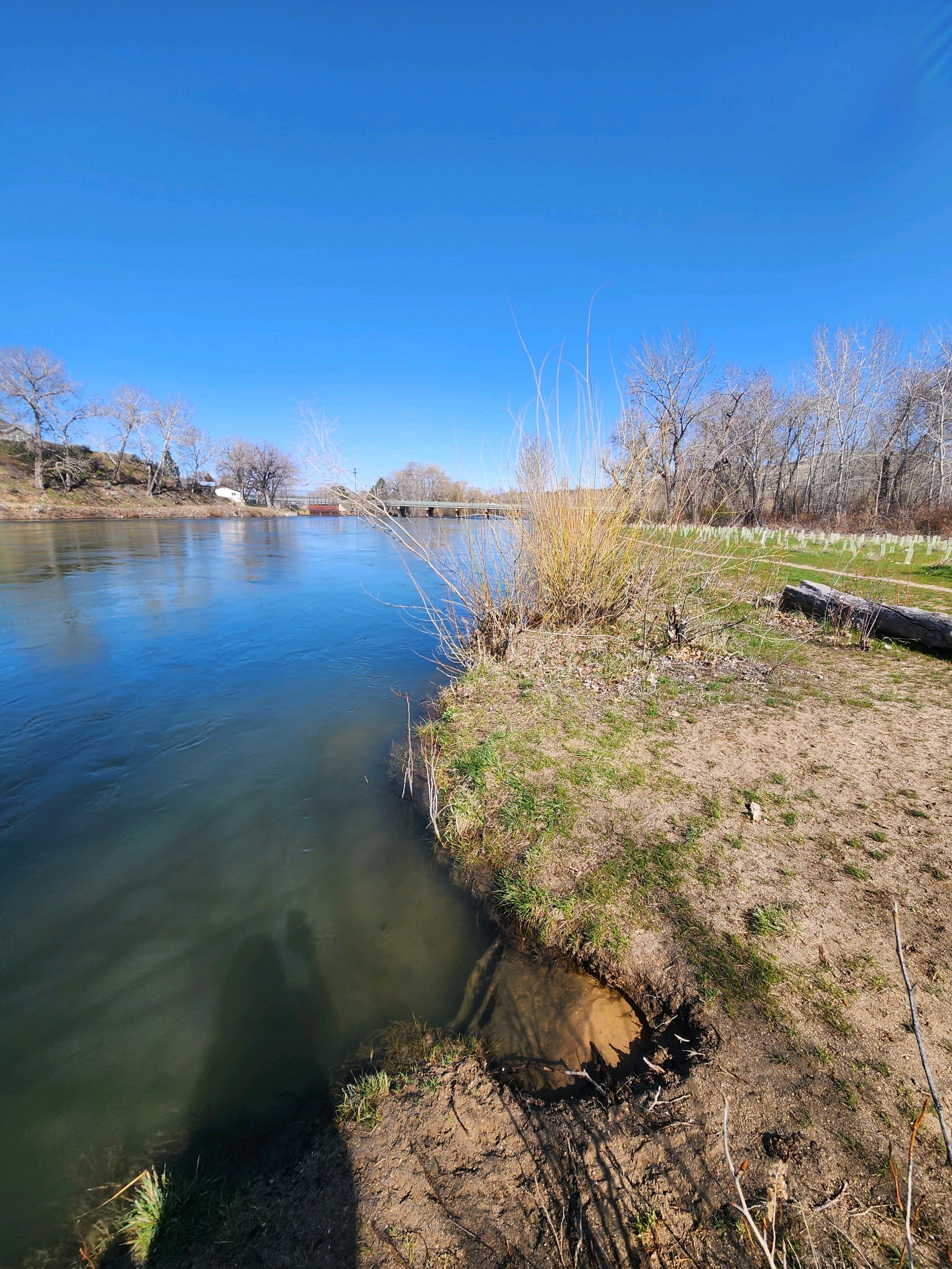 Regardez En Amont Sur La Rivière De Boise Reveling Un Barrage De Déviation  Image stock - Image du arbres, idaho: 88371961