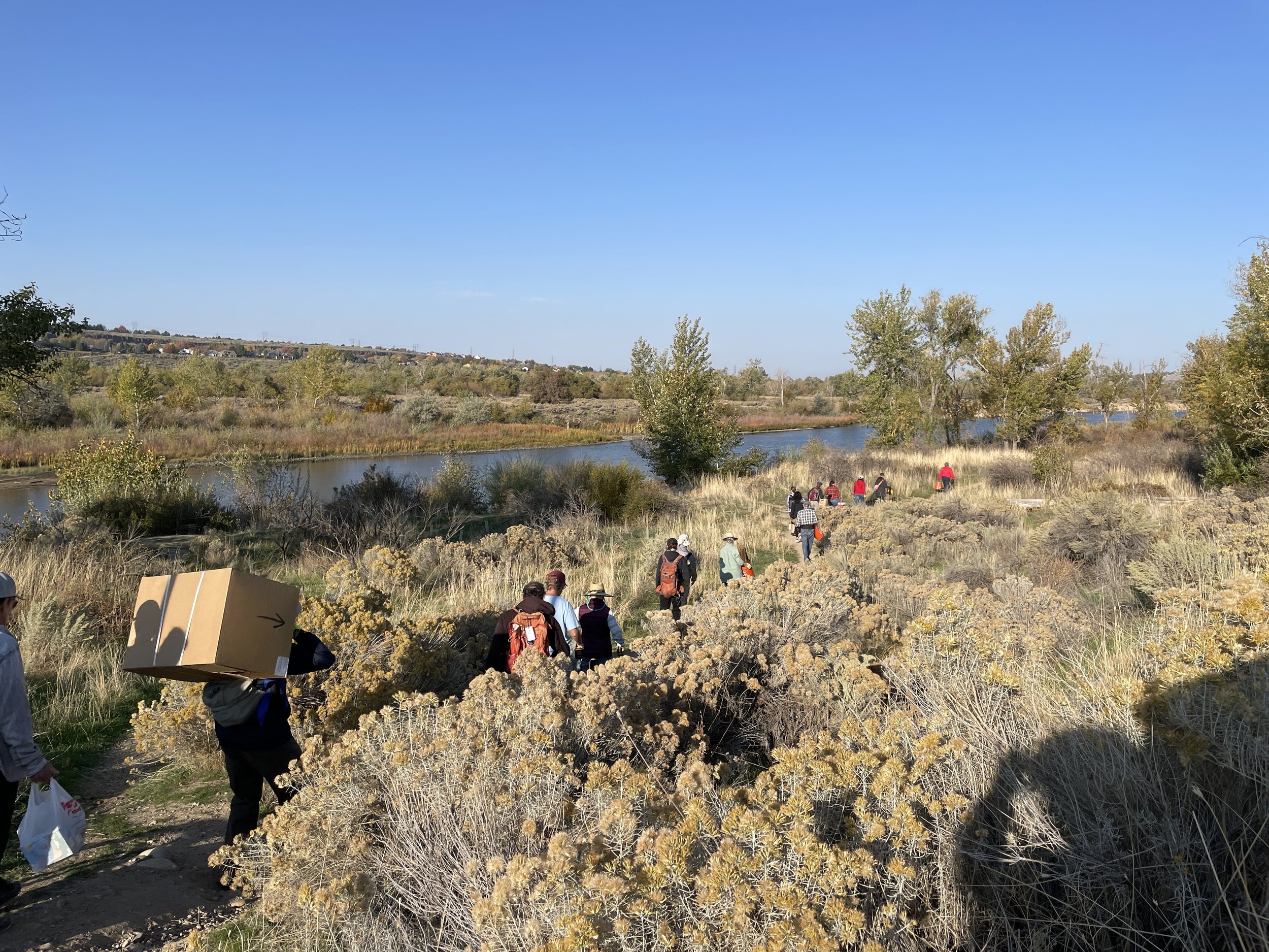 The BIG Day at ReWild