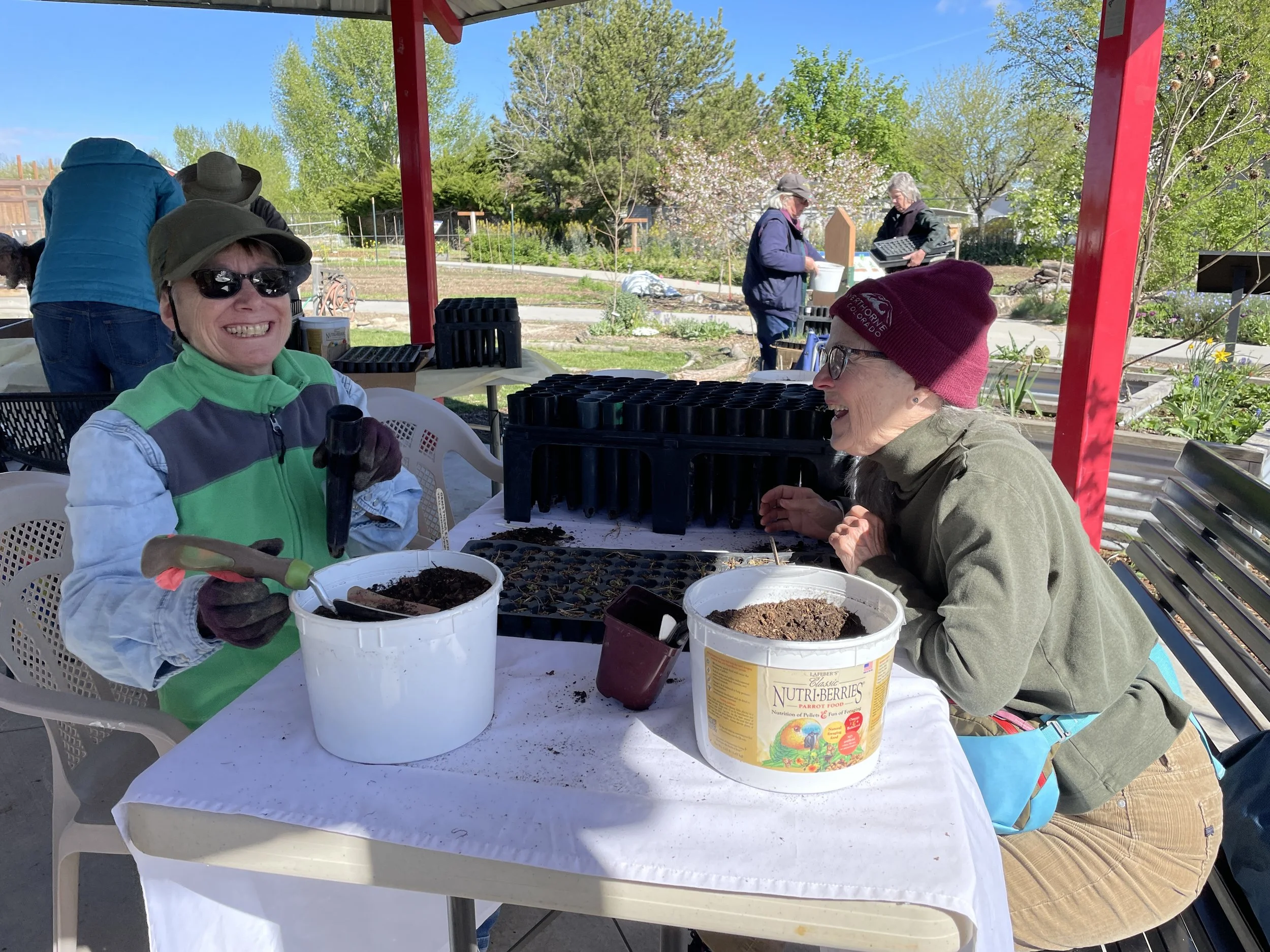 Native Plant Repotting Party 