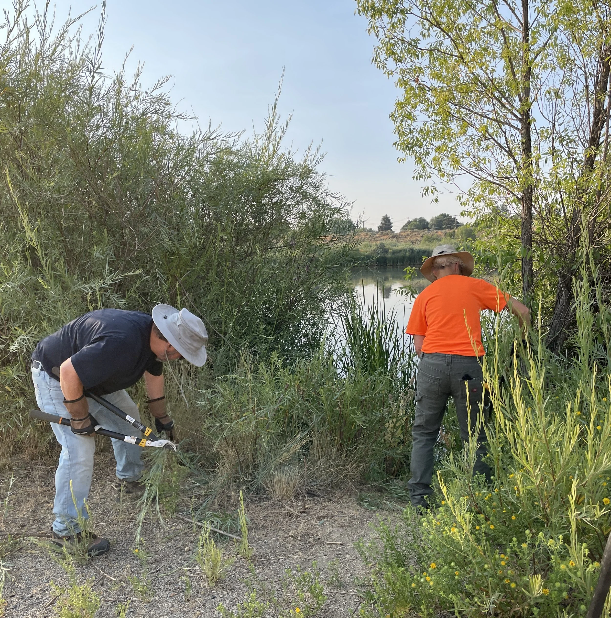 Hyatt Hidden Lakes Reserve Work Day