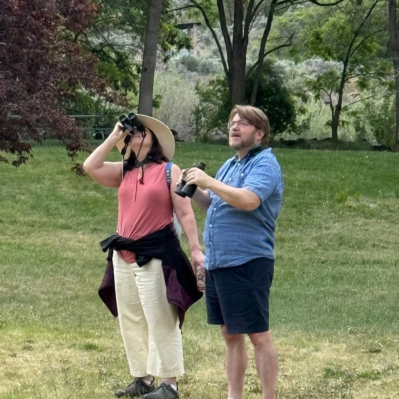 Introduction to Birding