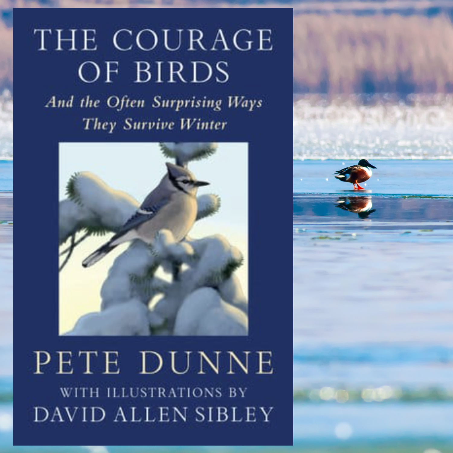 The Courage of Birds: Surviving Winter