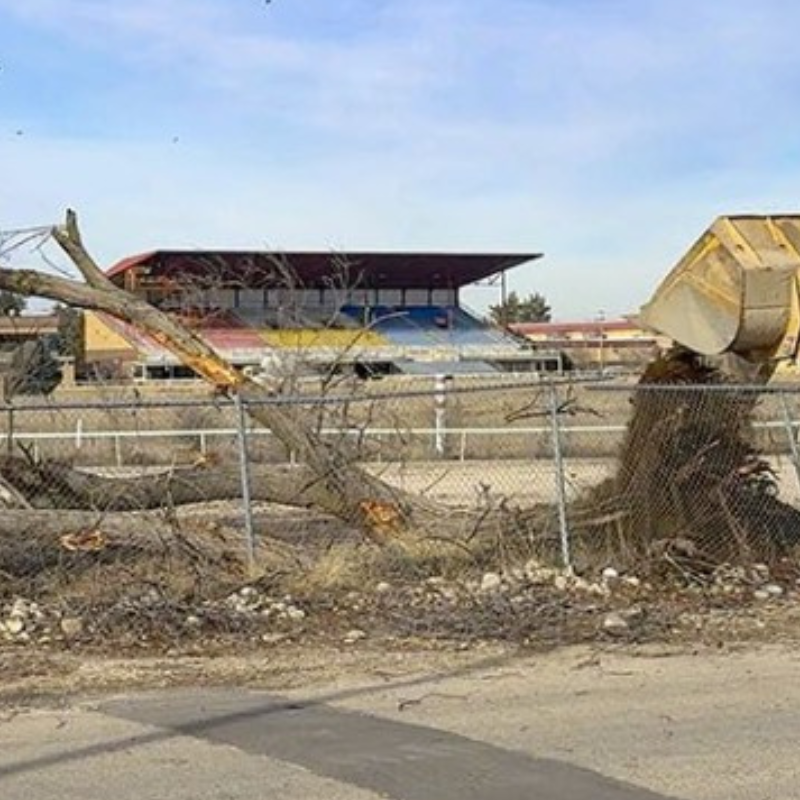 Wetland Restoration at Idaho Expo