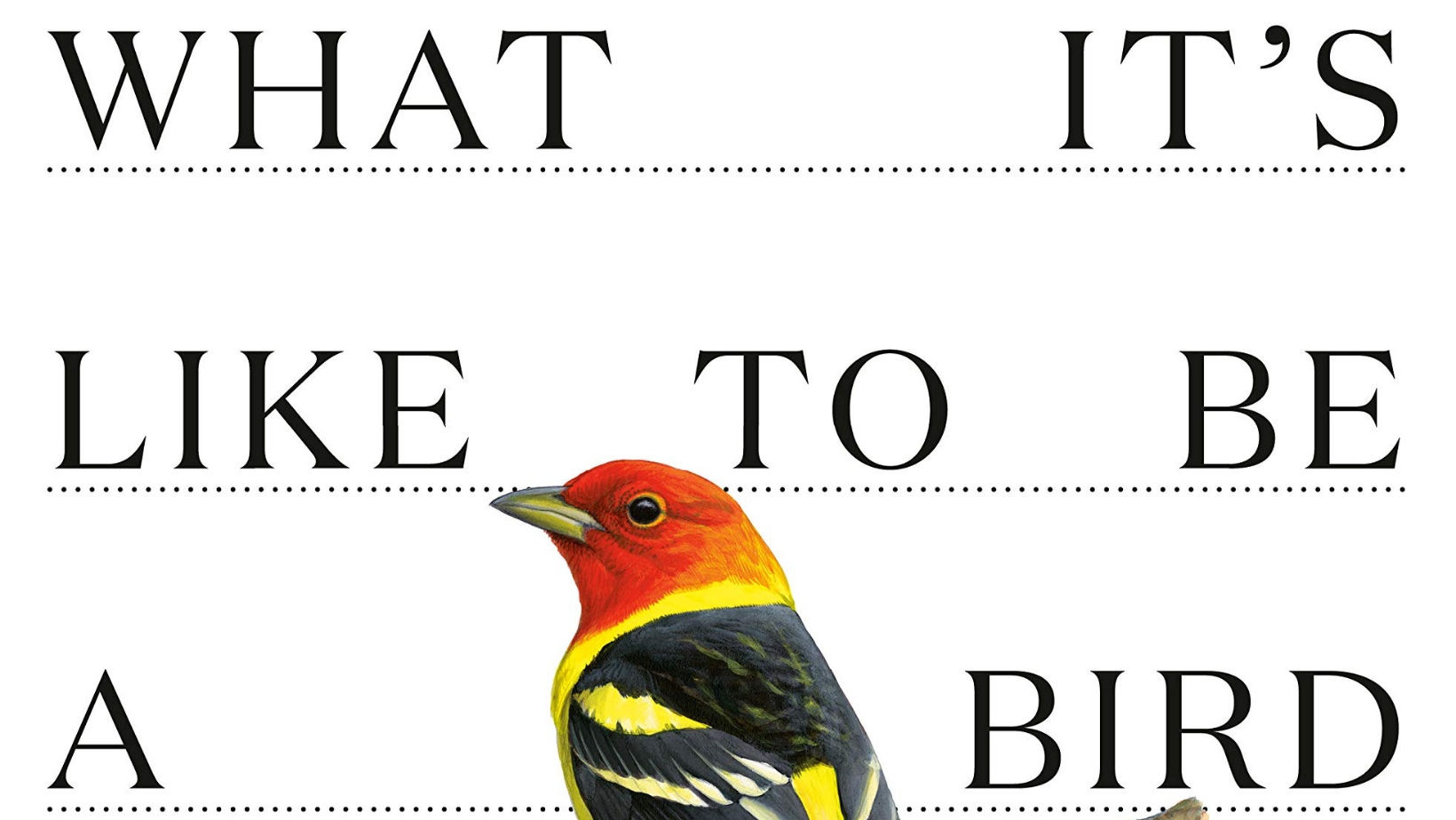 What It's Like to be a Bird