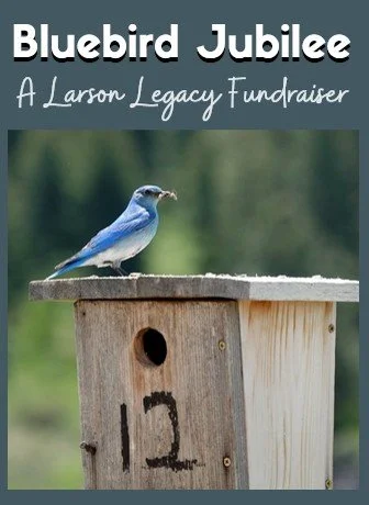 Bluebird Jubilee: A Larson Legacy Fundraiser