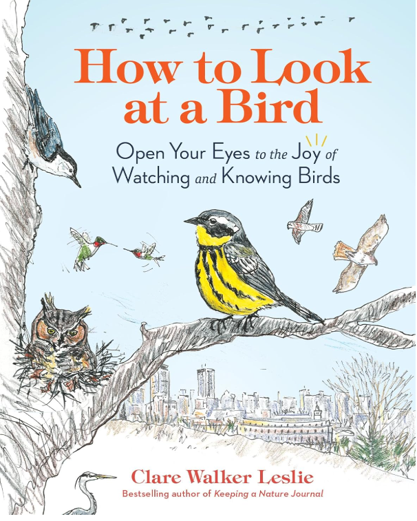 Book Review: How to Look at a Bird