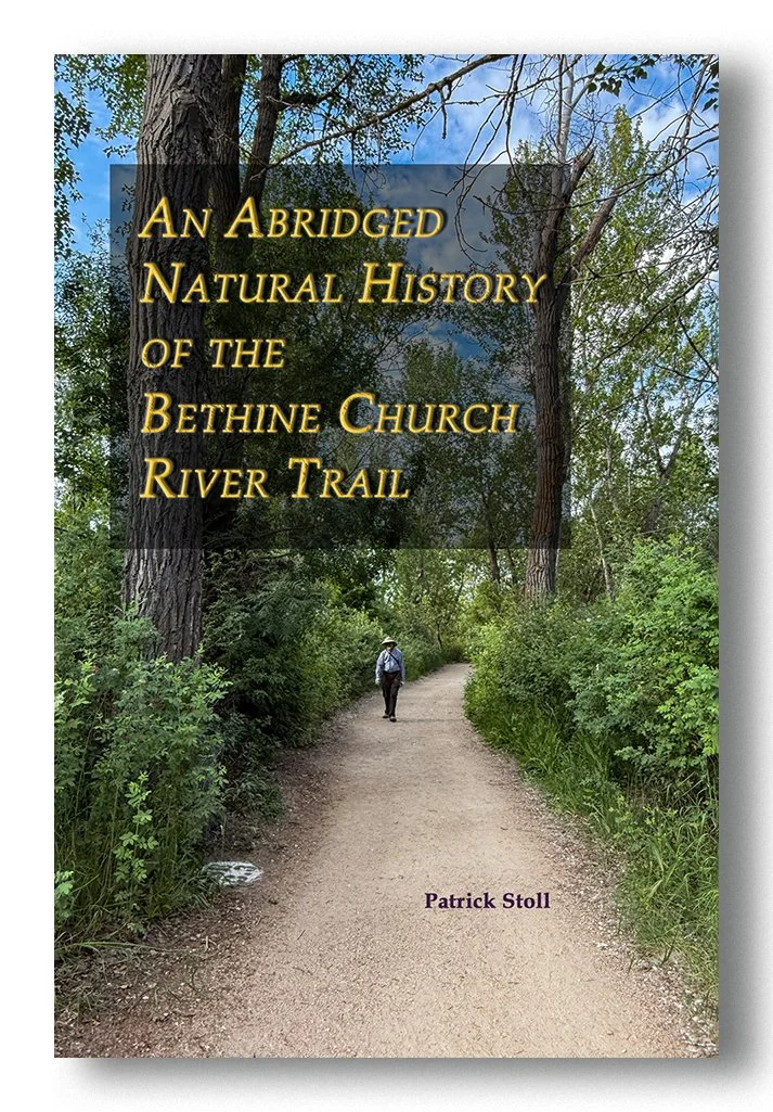 A Field Guide to Boise's Favorite Trail&nbsp;