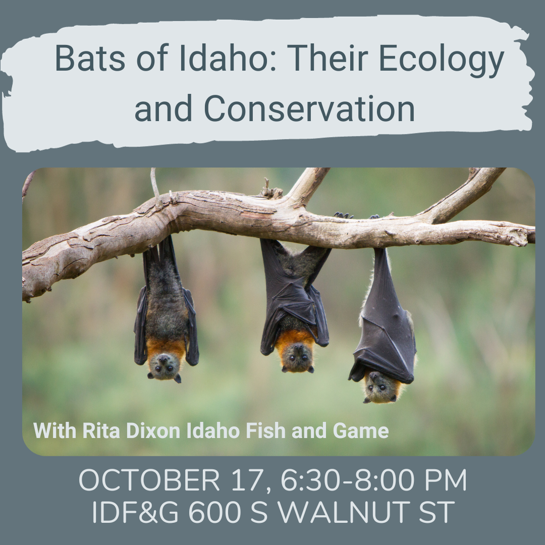 Bats of Idaho Ecology and Conservation — Golden Eagle Audubon