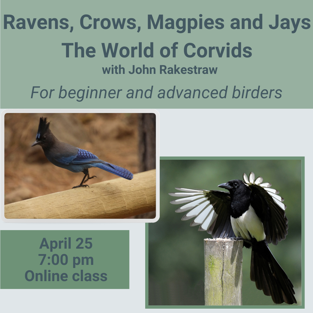 Classes and — Golden Eagle Audubon