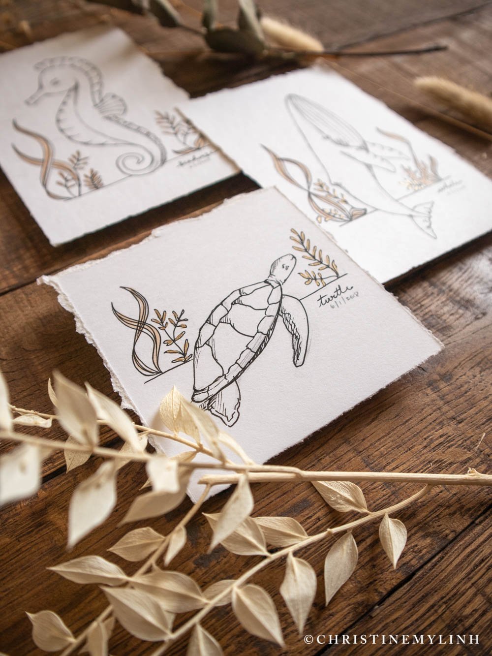sea-creatures-drawings-by-christine-my-linh-.jpg