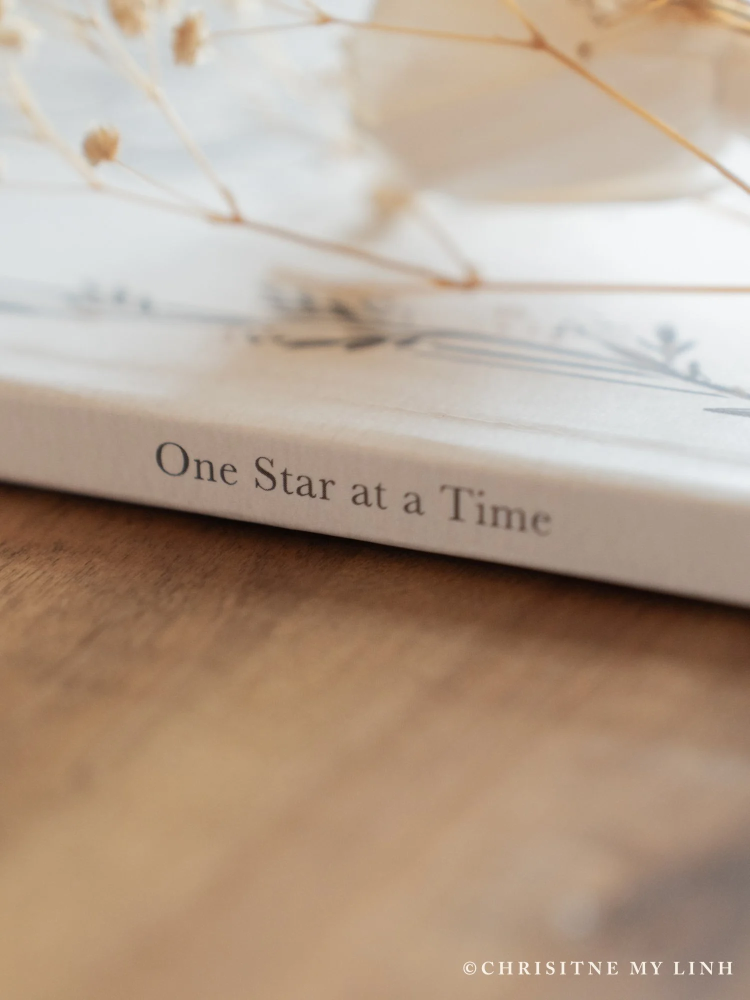 One Star at a Time Book Photo-2.jpg