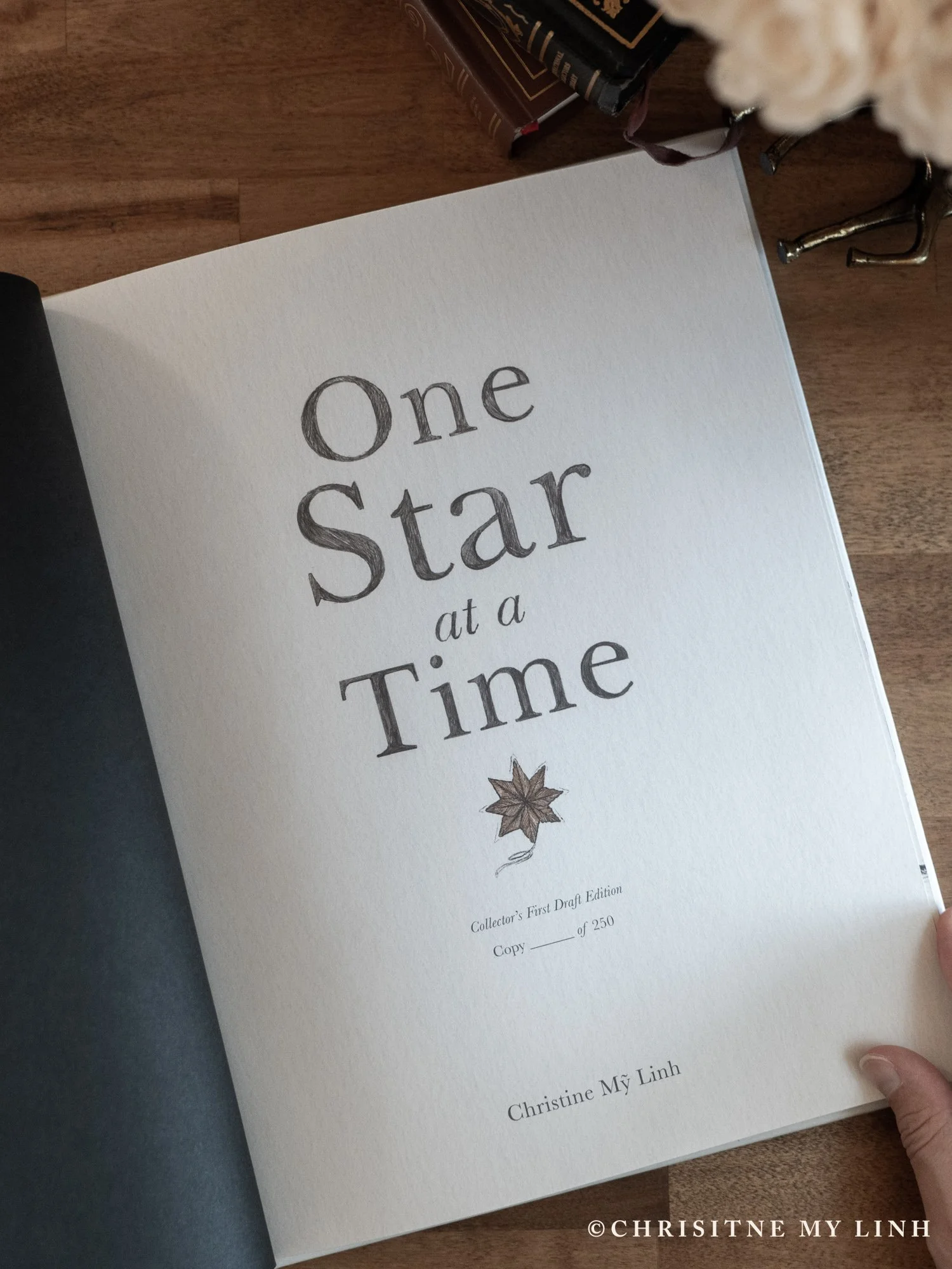 One Star at a Time Book Photo-13.jpg